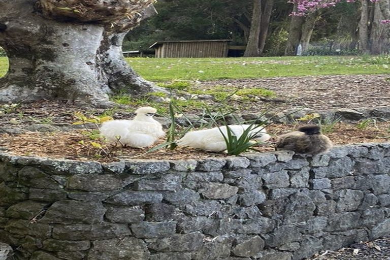 Photo of property in 79 Hone Heke Road, Kerikeri, 0230