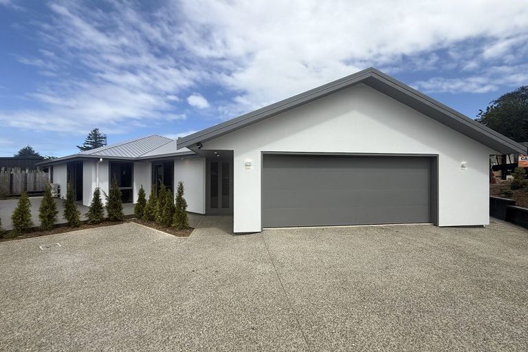 Photo of property in 11 Tapley Close, Halfway Bush, Dunedin, 9010