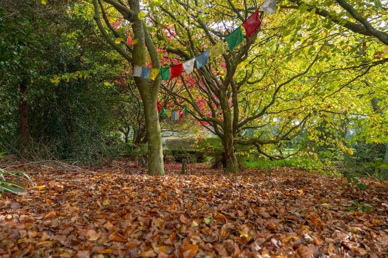 Photo of property in 175 Forest Road, Oruanui, Taupo, 3384