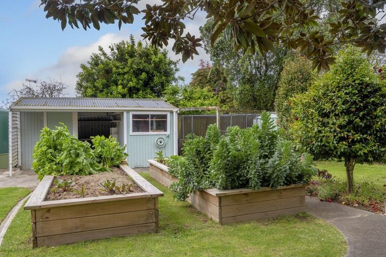 Photo of property in 9 Eleanor Place, Whakatane, 3120