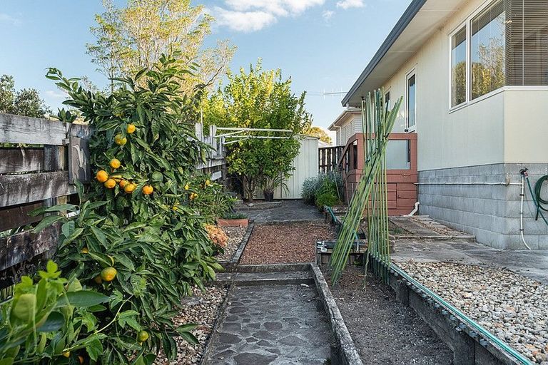 Photo of property in 3b Otawa Street, Te Puke, 3119