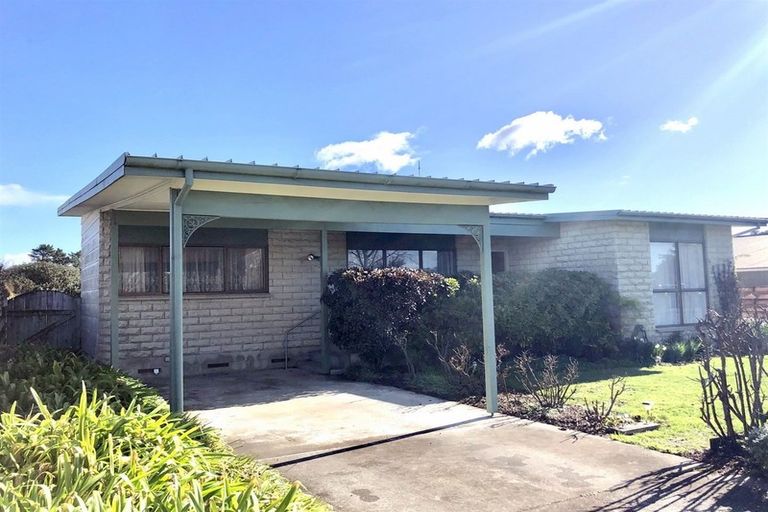 Photo of property in 14 Stiles Avenue, Waipukurau, 4200