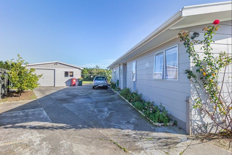 Photo of property in 83 Strathmore Avenue, Levin, 5510