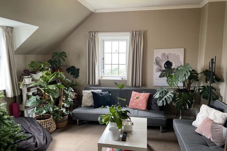 Photo of property in 53 Thompson Street, Mount Cook, Wellington, 6011