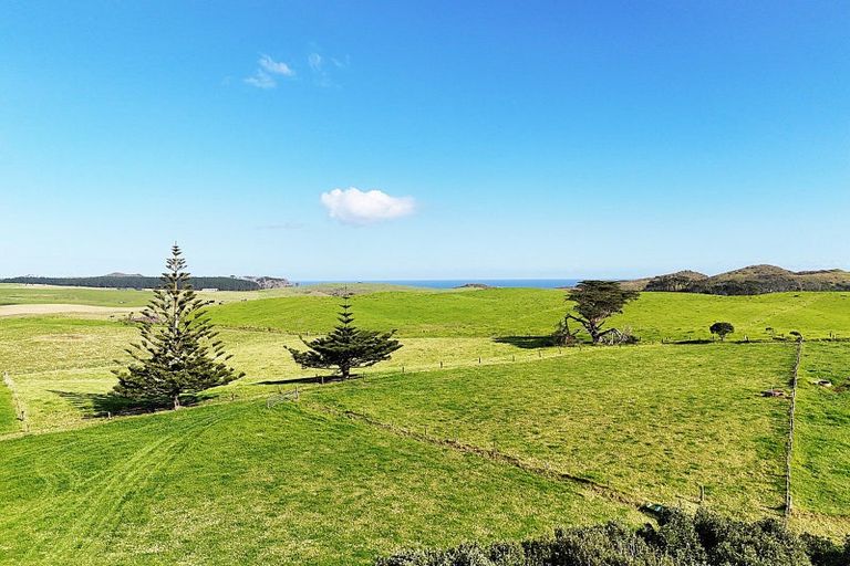 Photo of property in 1000 Redhill Road, Te Kopuru, Dargaville, 0371