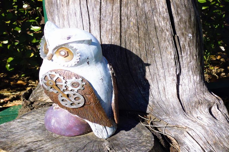 Photo of property in 19 Edgewater Grove, Whakatane, 3120