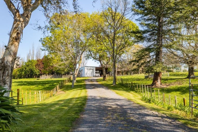 Photo of property in 510 Porangahau Road, Waipukurau, 4282