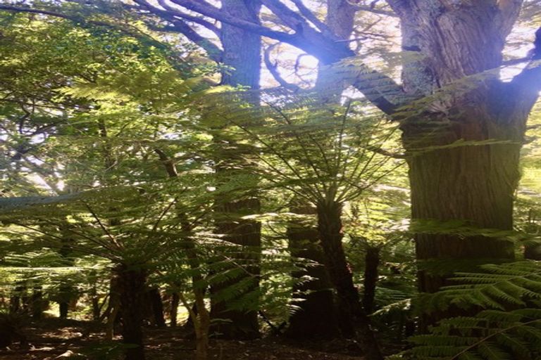 Photo of property in 4 Tranquil Glade, Hillcrest, Auckland, 0627