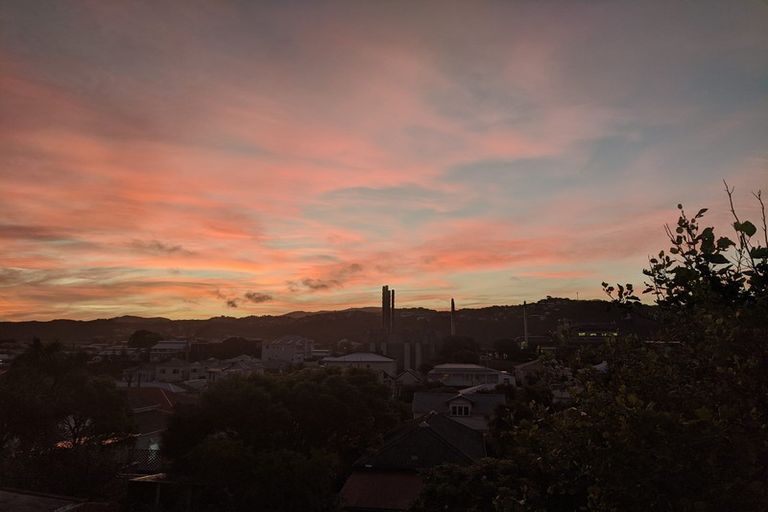 Photo of property in 16 Coromandel Street, Newtown, Wellington, 6021