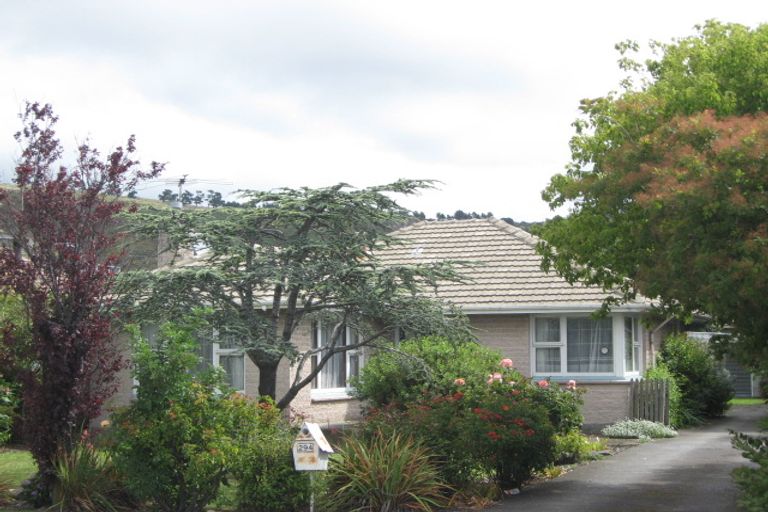 Photo of property in 294 Opawa Road, Hillsborough, Christchurch, 8022