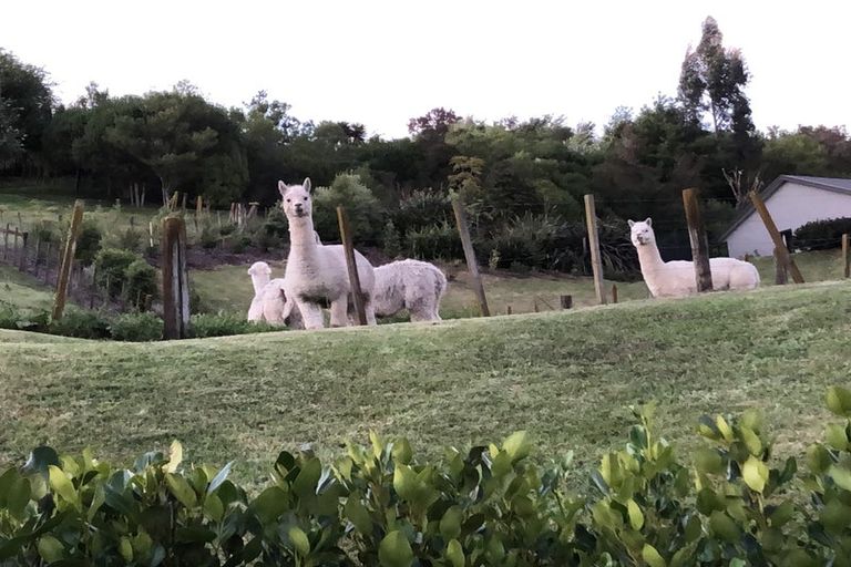 Photo of property in 14 Lakeview Terrace, Taradale, Napier, 4112