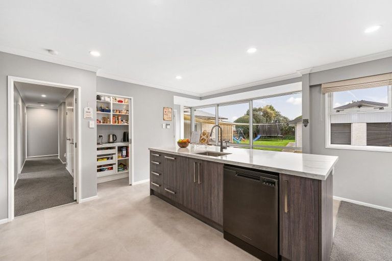 Photo of property in 123 Dittmer Drive, West End, Palmerston North, 4412