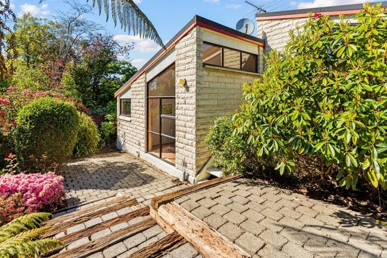 Photo of property in 12c Lynwood Avenue, Maori Hill, Dunedin, 9010