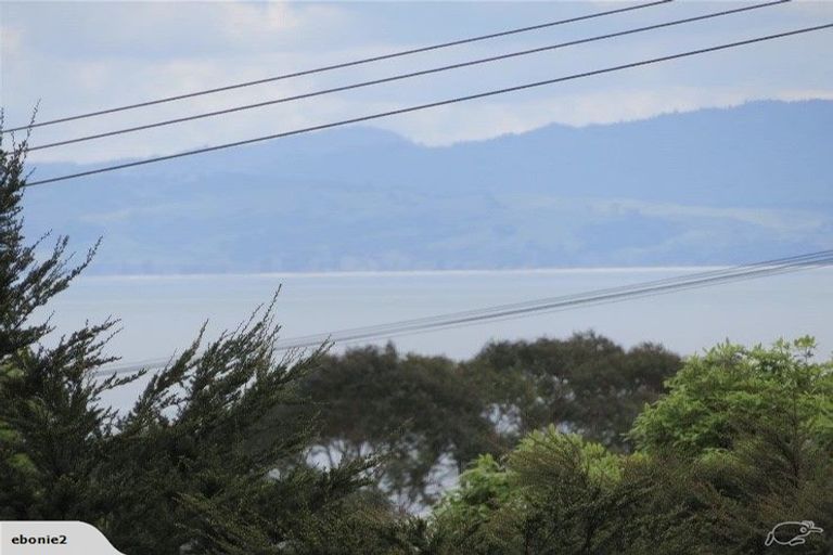 Photo of property in 218 Mount Sea Road, Thames, 3500