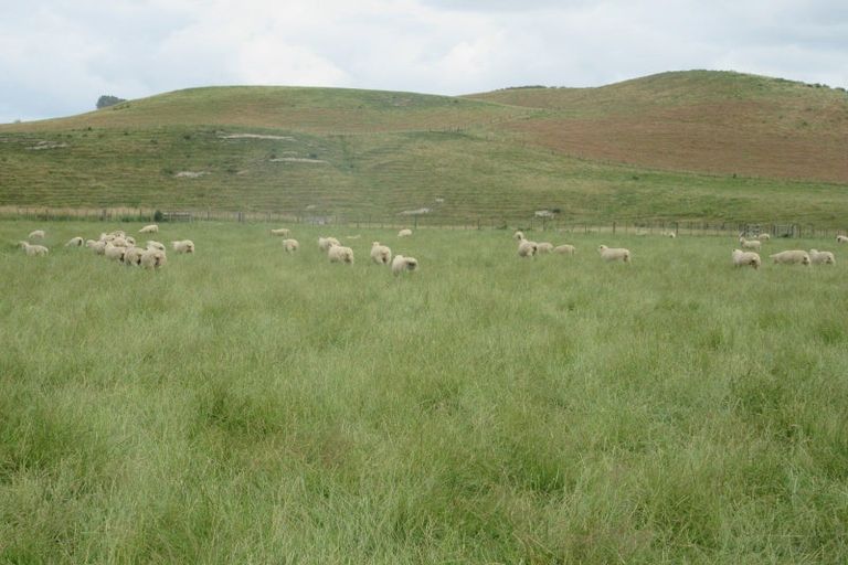 Photo of property in 359 Mangatarata Road, Waipukurau, 4285