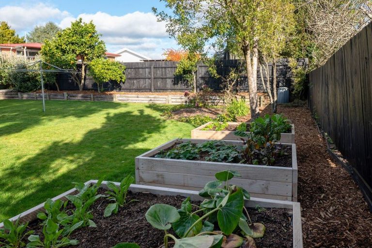Photo of property in 13 Duncan Street, Glenholme, Rotorua, 3010