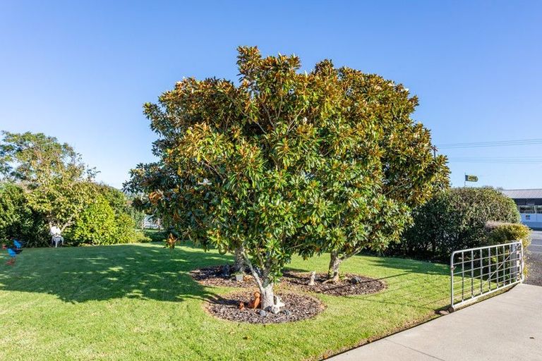 Photo of property in 1175 Tiki Sh25 Road, Coromandel, 3506