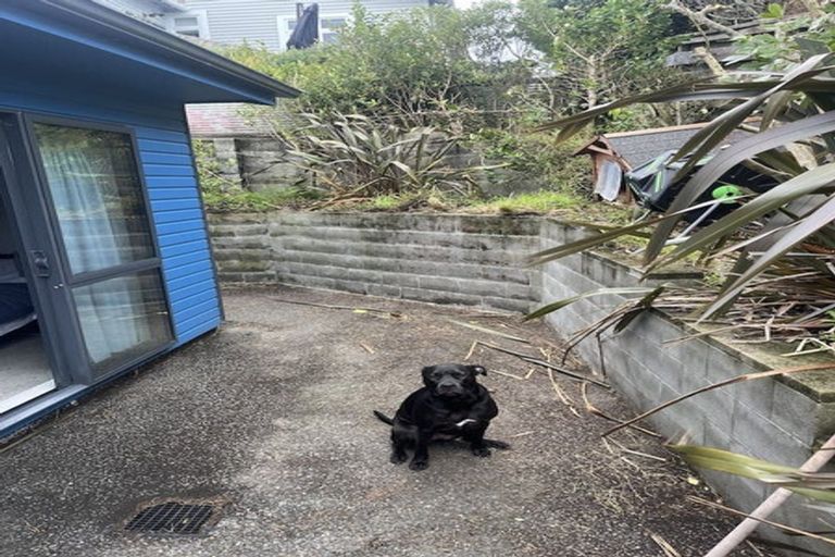 Photo of property in 179 Karepa Street, Brooklyn, Wellington, 6021