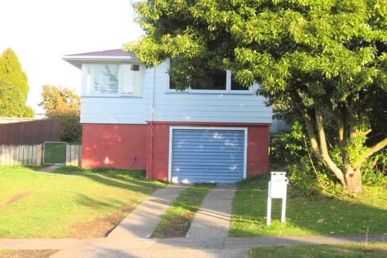 Photo of property in 13 Mcintosh Street, Chartwell, Hamilton, 3210