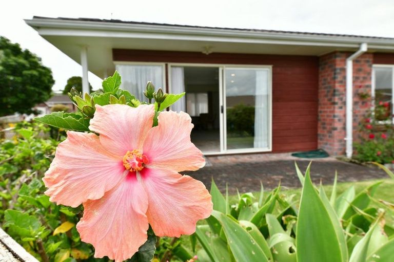 Photo of property in 26 The Grove, Red Beach, 0932
