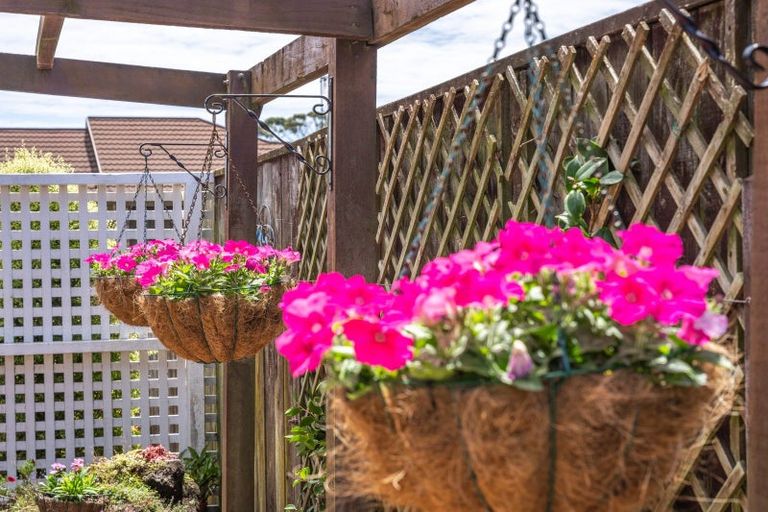 Photo of property in 66 Cedar Drive, Paraparaumu Beach, Paraparaumu, 5032