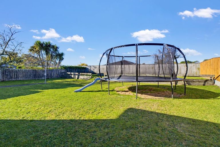 Photo of property in 81 Guy Avenue, Takaro, Palmerston North, 4410