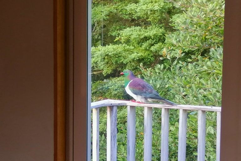 Photo of property in 57 Pinehill Road, Pakaraka, Moerewa, 0472