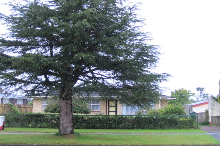 Photo of property in 14 East Parkdale Street, Tokoroa, 3420