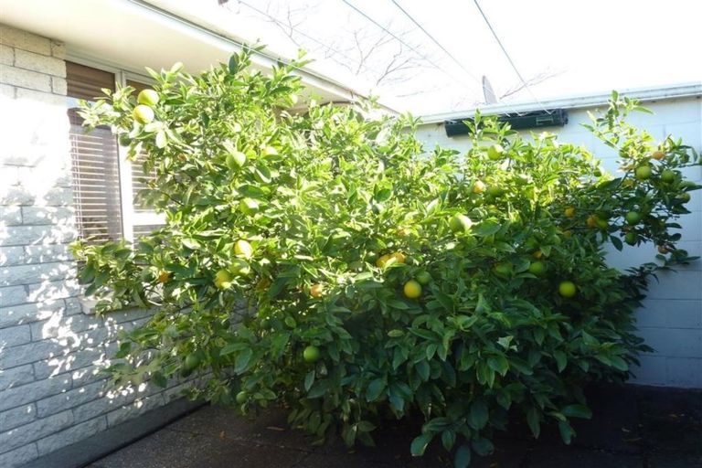 Photo of property in 2/38 Lyndon Street, Riccarton, Christchurch, 8041