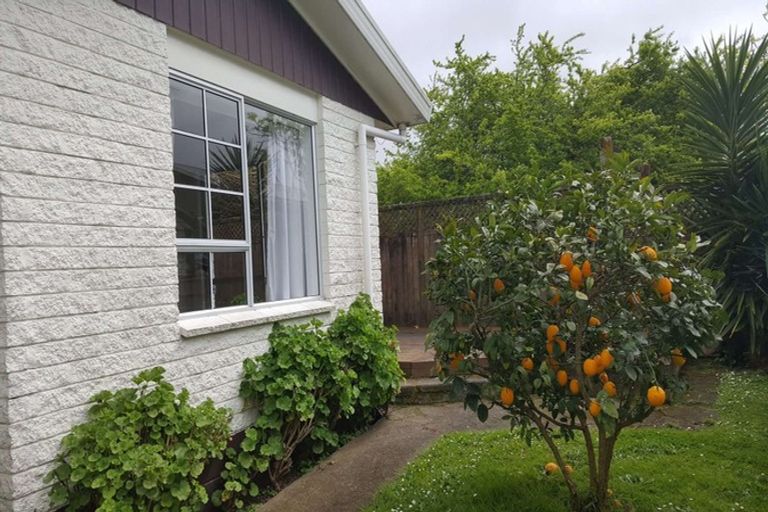 Photo of property in 3 Unity Lane, Melville, Hamilton, 3206