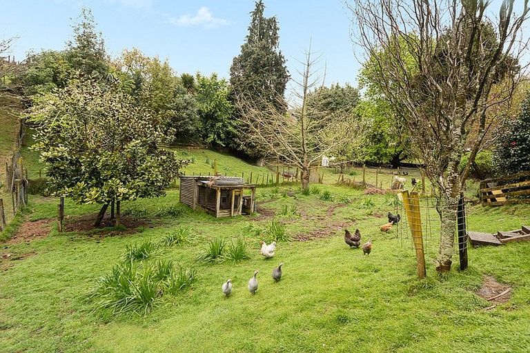 Photo of property in 14 Tui Street, Te Puke, 3119