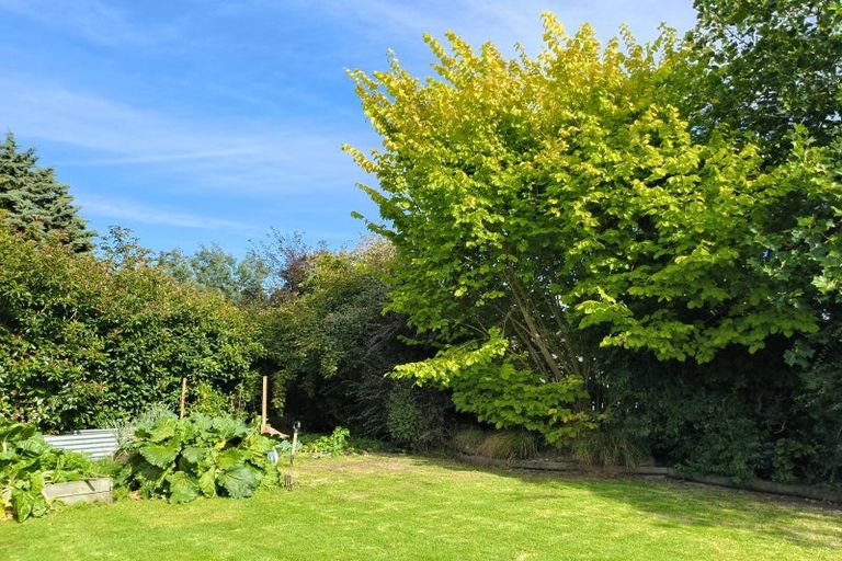 Photo of property in 16 Moore Street, Milton, 9220