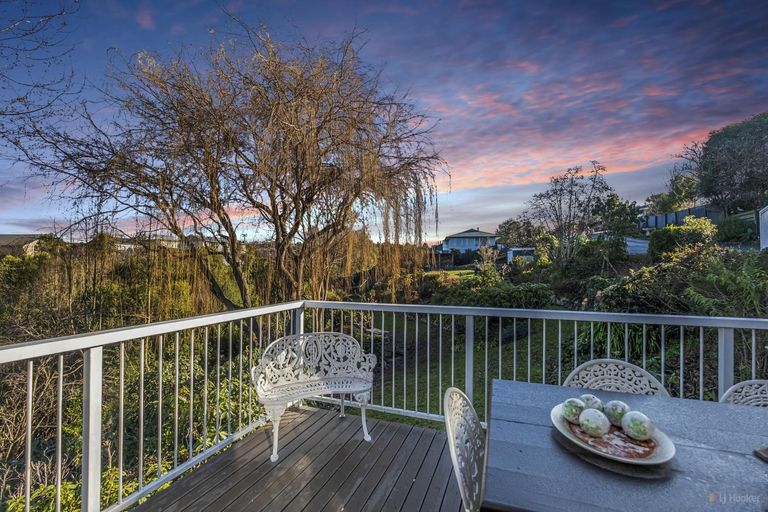 Photo of property in 20 Chaucer Street, Highfield, Timaru, 7910