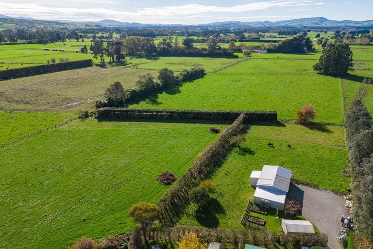 Photo of property in 202 West Bush Road, Upper Plain, Masterton, 5888