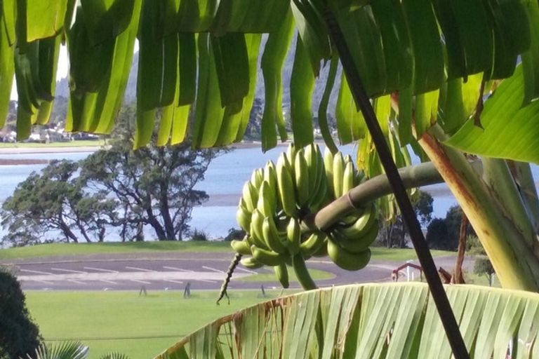 Photo of property in 107 Main Sh25 Road, Tairua, 3508