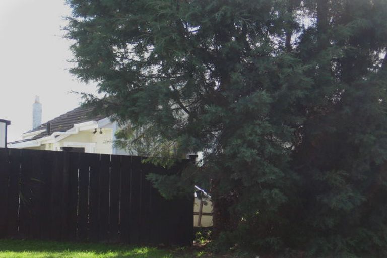 Photo of property in 52 Meadowvale Rise, Titirangi, Auckland, 0604