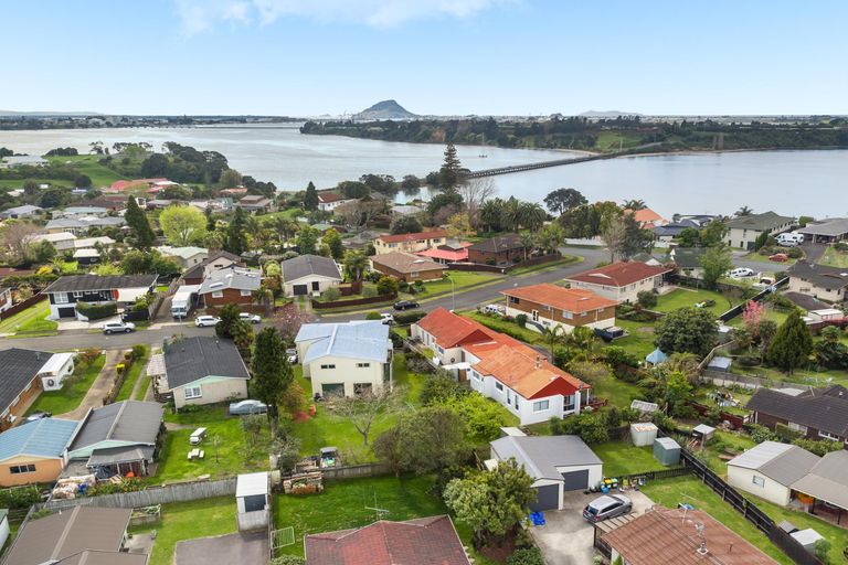 Photo of property in 39a Maihi Crescent, Maungatapu, Tauranga, 3112