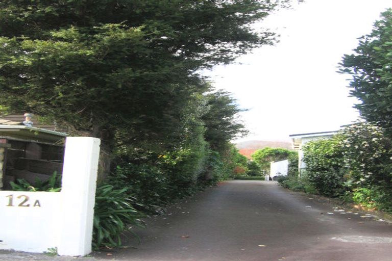 Photo of property in 12a Bloomfield Terrace, Hutt Central, Lower Hutt, 5010