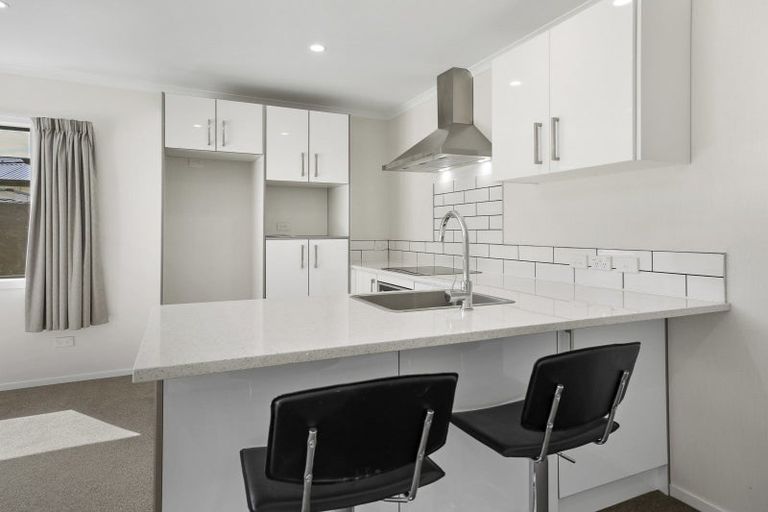 Photo of property in 17u2 Walter Street, Fairfield, Hamilton, 3214