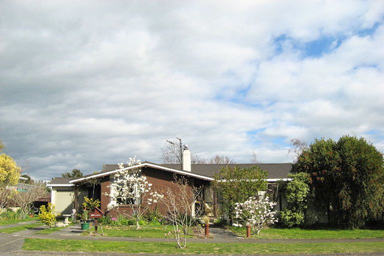 Photo of property in 19 Mount View Place, Waipukurau, 4200