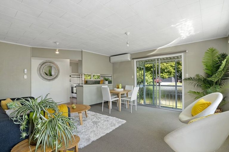 Photo of property in 175 Kawai Street South, Nelson South, Nelson, 7010
