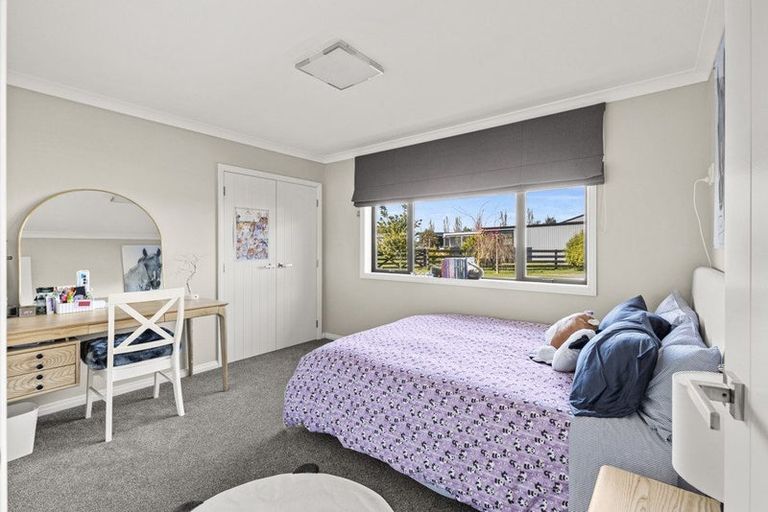 Photo of property in 255 Calico Line, Marton, 4787