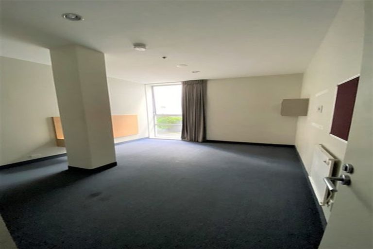 Photo of property in Hanson House, 27u2 Hanson Street, Mount Cook, Wellington, 6021