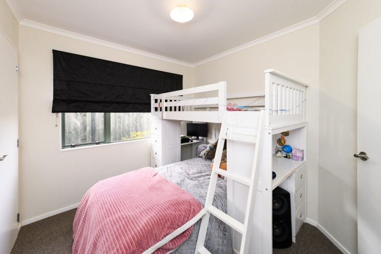 Photo of property in 62 Fraser Drive, Feilding, 4702