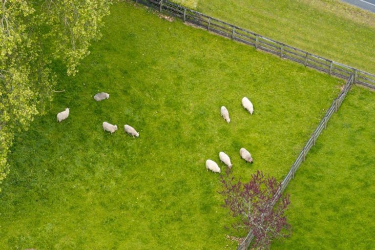 Photo of property in 3 Scotsvale Drive, Tauwhare, Morrinsville, 3371