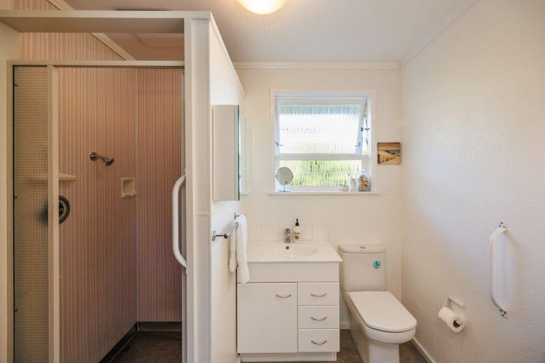 Photo of property in 245 Victoria Avenue, Hokowhitu, Palmerston North, 4410