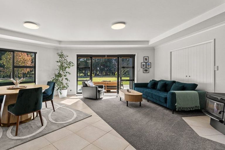 Photo of property in 255 Calico Line, Marton, 4787