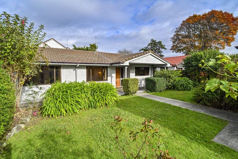 Photo of property in 507a Fitzroy Avenue, Hastings, 4122