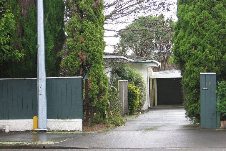 Photo of property in 119 Te Awe Awe Street, Hokowhitu, Palmerston North, 4410