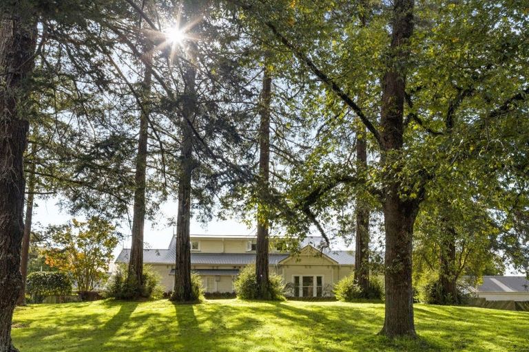 Photo of property in 23 Ruakiwi Road, Hamilton Lake, Hamilton, 3204